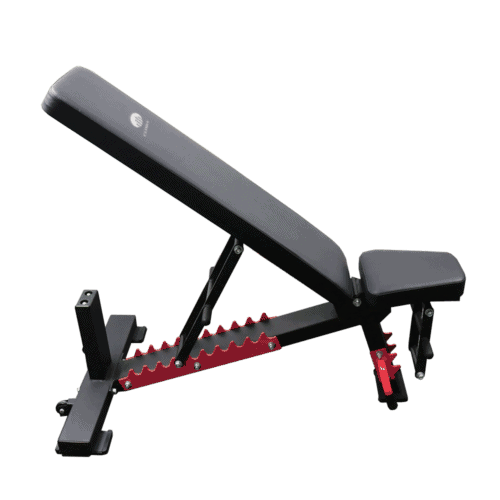 ⁦CL 1503⁩ – תמונה ⁦2⁩