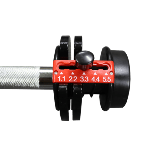 ⁦CL 1009⁩ – תמונה ⁦3⁩