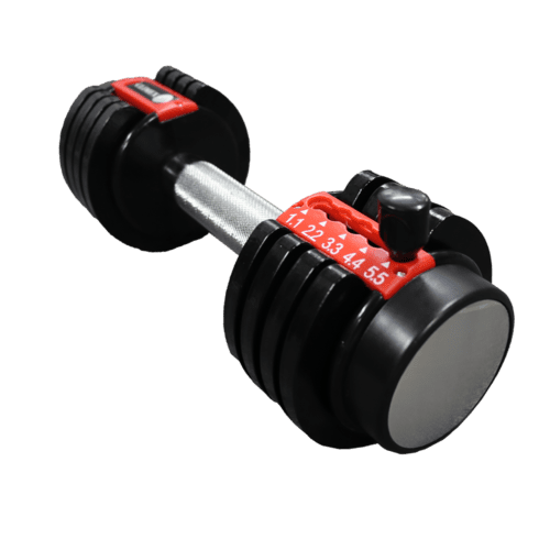 ⁦CL 1009⁩ – תמונה ⁦4⁩