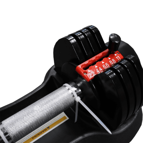 ⁦CL 1010⁩ – תמונה ⁦2⁩